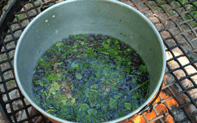 Wilder Wikinger-Kochtag im Wald