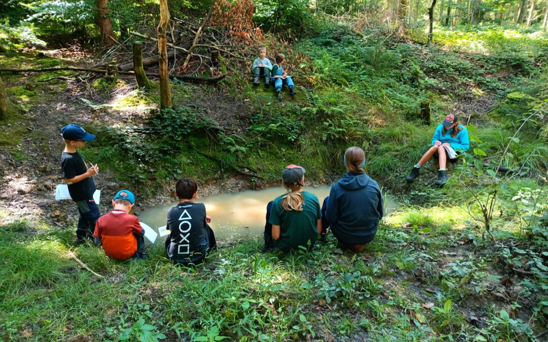 Fichtenzucker und Wildschweinbadi