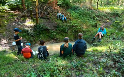 Fichtenzucker und Wildschweinbadi
