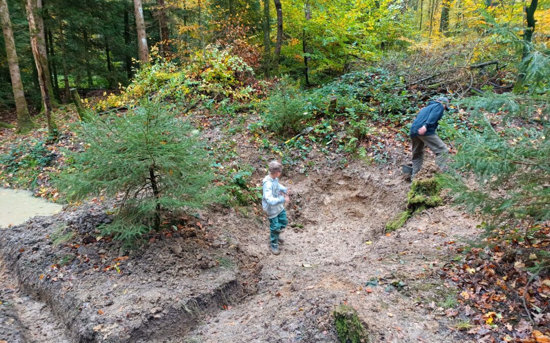 Einsatz bei den Lehmlöchern – ein Schritt in die Zukunft für die Amphibien
